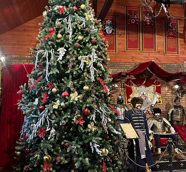 Рождественская сказка в Суле Фото главное